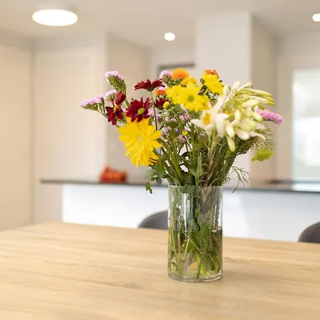 Yourspain Fv257 Appartement Orihuela